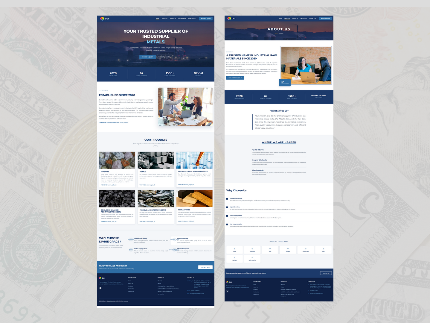 Homepage showcasing DGI brand, product categories, and global supply chain overview